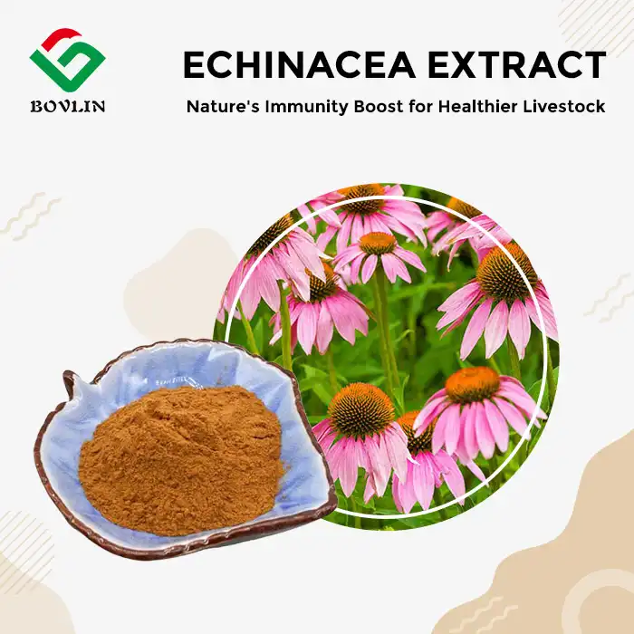Echinacea Herb Extract